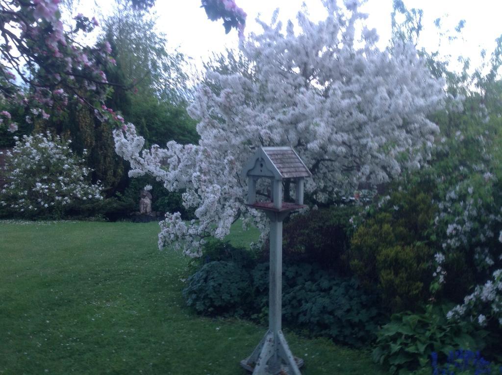 White House Farm Bed and Breakfast Hindolveston Esterno foto